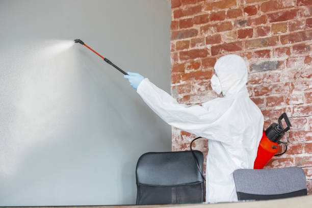  Seaman, OH Mold Removal Pros