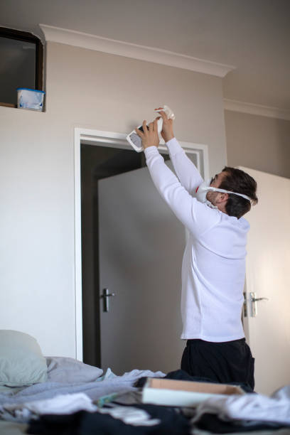 Best Mold Damage Restoration  in Seaman, OH