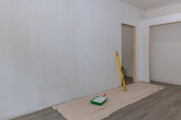 Best Mold Odor Removal Services  in Seaman, OH