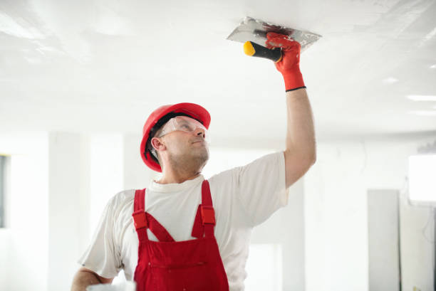 Best Airborne Mold Testing  in Seaman, OH