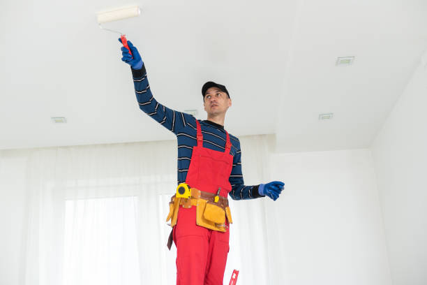 Best Basement Mold Removal  in Seaman, OH